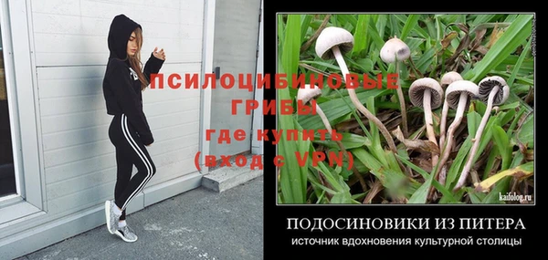 PSILOCYBIN Алексеевка