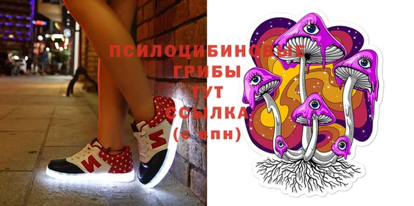 PSILOCYBIN Алексеевка