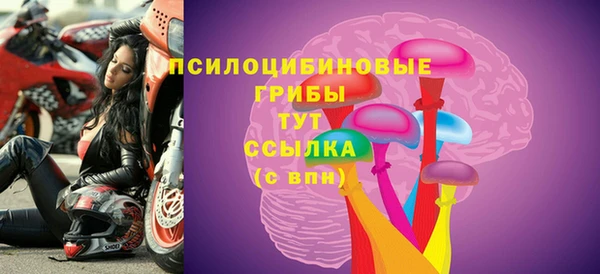 прущий лед Алексин
