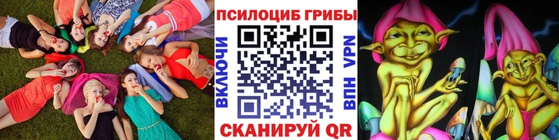 мега маркетплейс  Игарка  darknet Telegram  Галлюциногенные грибы MAGIC MUSHROOMS 